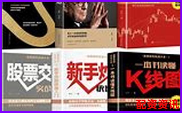 杠桿股票基金怎么買 新手必看5大申購(gòu)技巧攻略-十大配資平臺(tái)app下載官網(wǎng)
