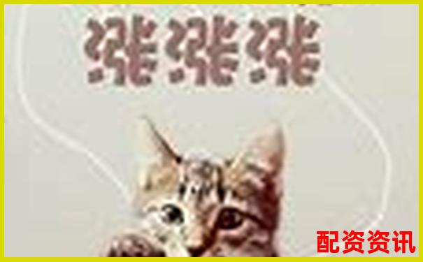 2024年線上股票配資平臺投資指南與實戰(zhàn)解析-炒股10倍杠桿賣出怎么算收益
