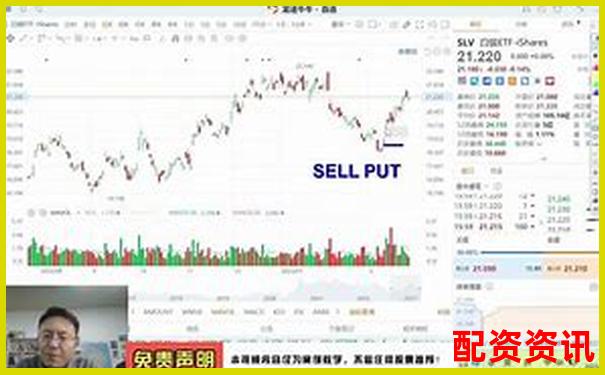 股指期權(quán)杠桿倍數(shù)全解析 三大實戰(zhàn)技巧助你高效操作-上海股票配資案件判決結(jié)果