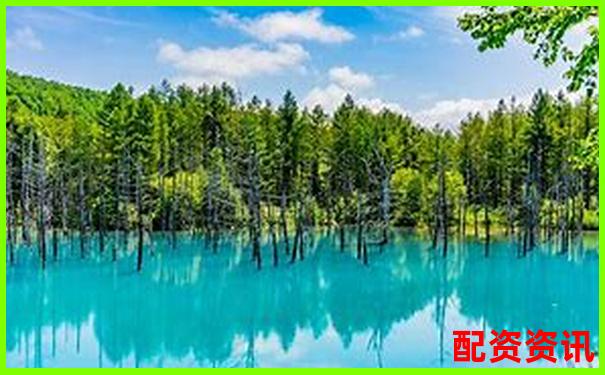 國內(nèi)配資APP排行榜Top10盤點(diǎn)，實(shí)測評分出爐