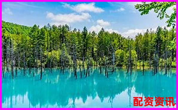 國(guó)內(nèi)十大配資平臺(tái)排行榜評(píng)分表（2025最新版）-湯臣倍健股票最新消息
